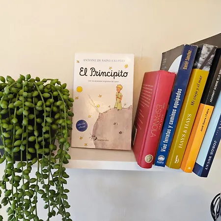 Apartamento Casa Del Olmo *