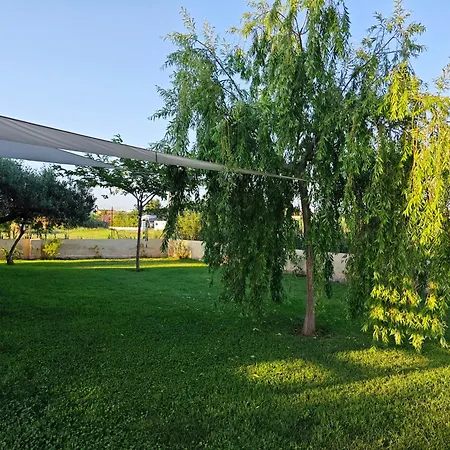 Casa Del Olmo * Καστεγιόν δε λα Πλάνα