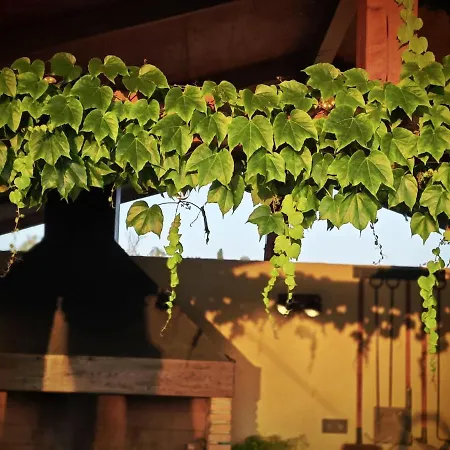 Apartamento Casa Del Olmo