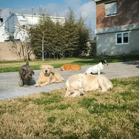 Apartamento Casa Del Olmo