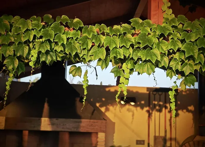 Apartamento Casa Del Olmo