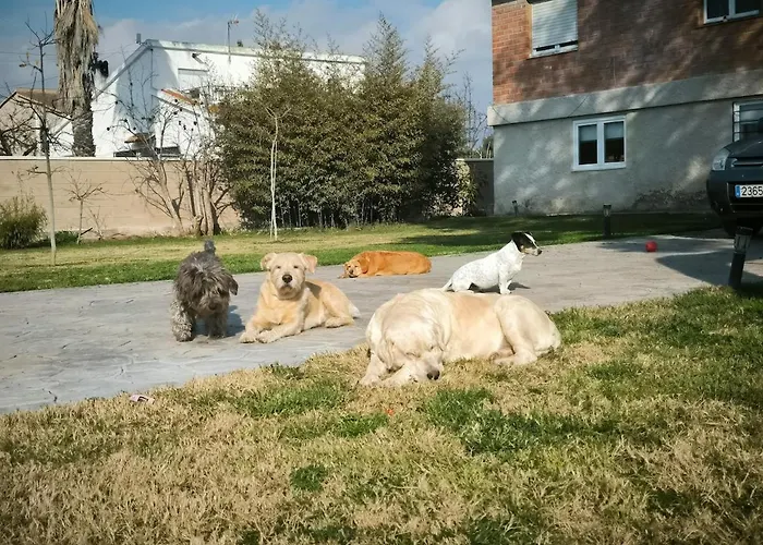 Apartamento Casa Del Olmo